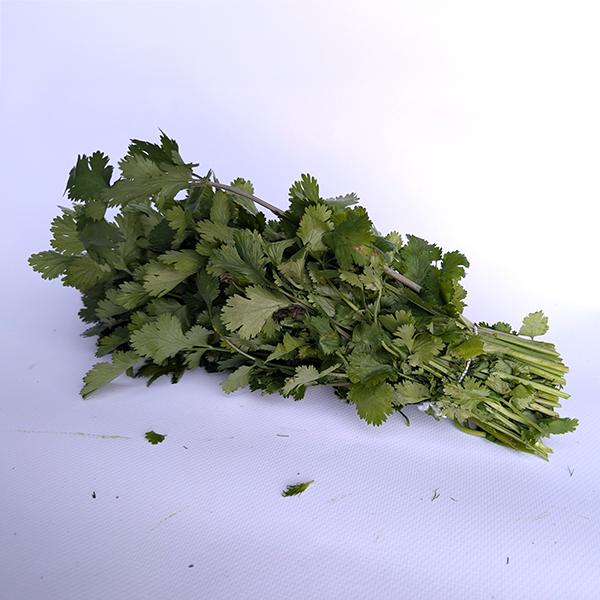 Bindegummi Kräuter