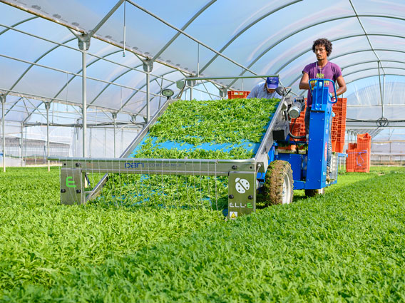 VegTerra oogst machines