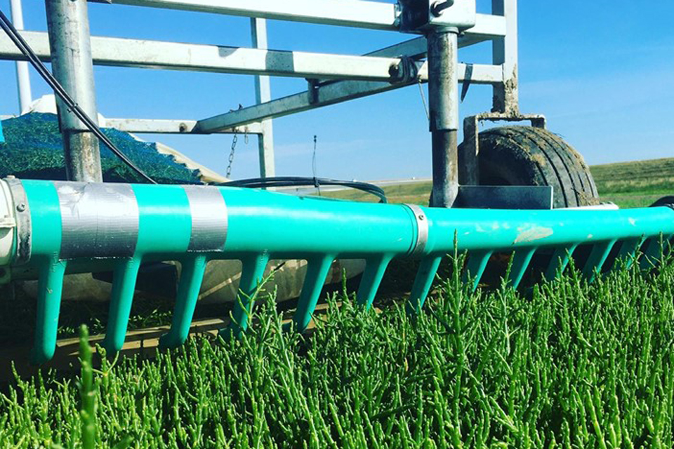  VegTerra harvest machines