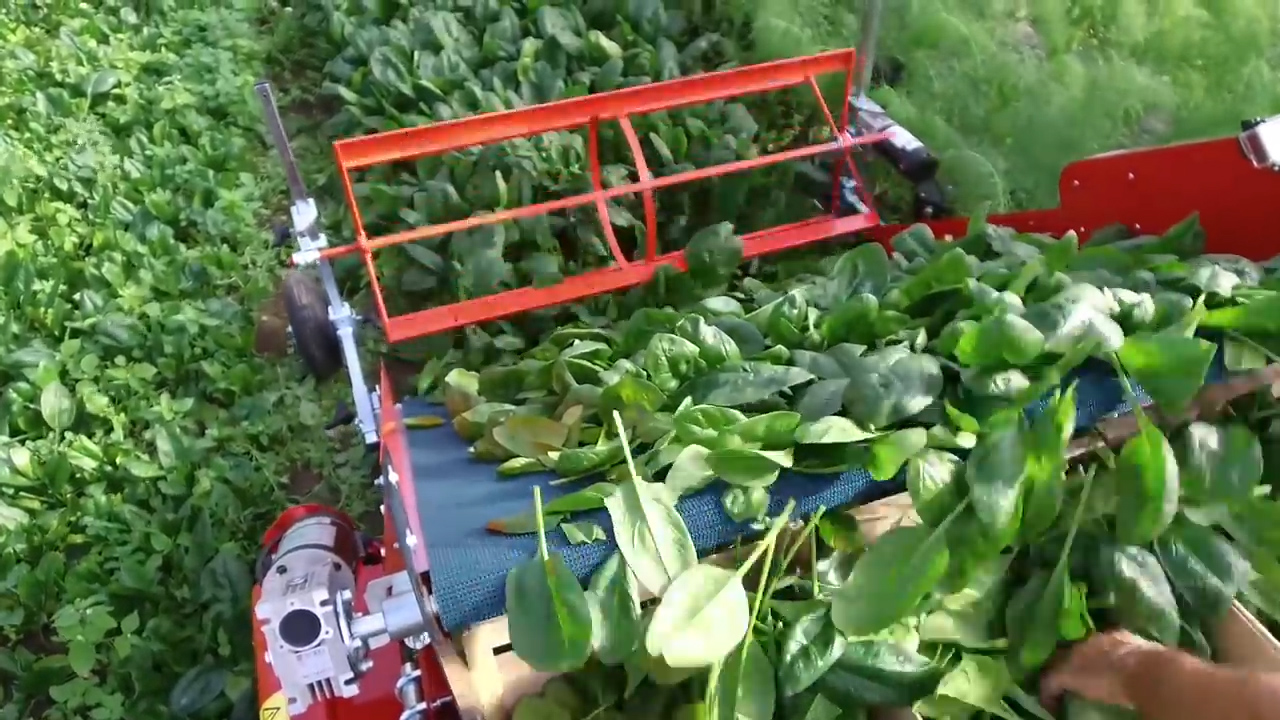 Veld oogstmachine
