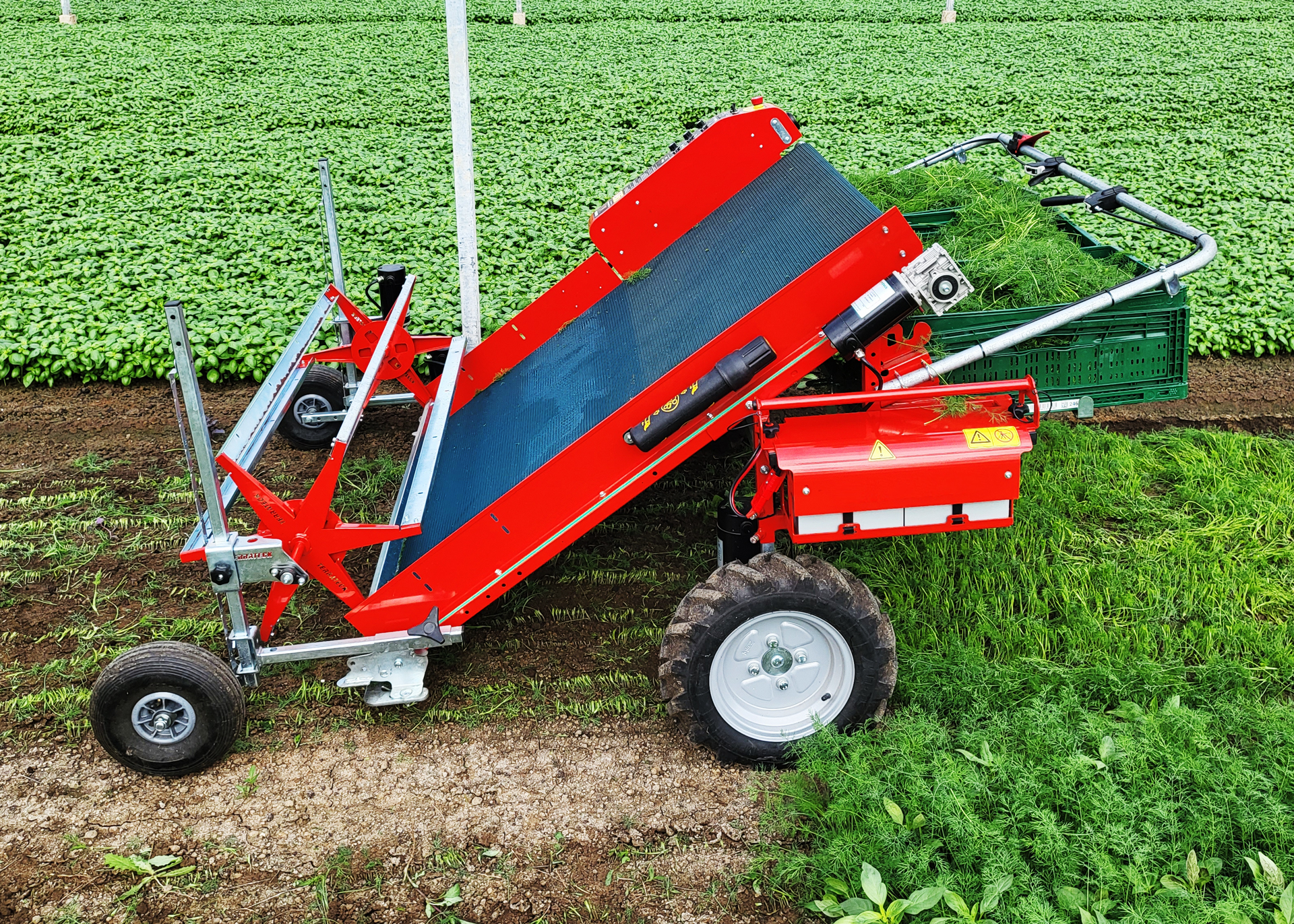 VegTerra harvest machines