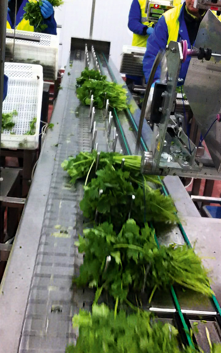 Bundle and label systems in action