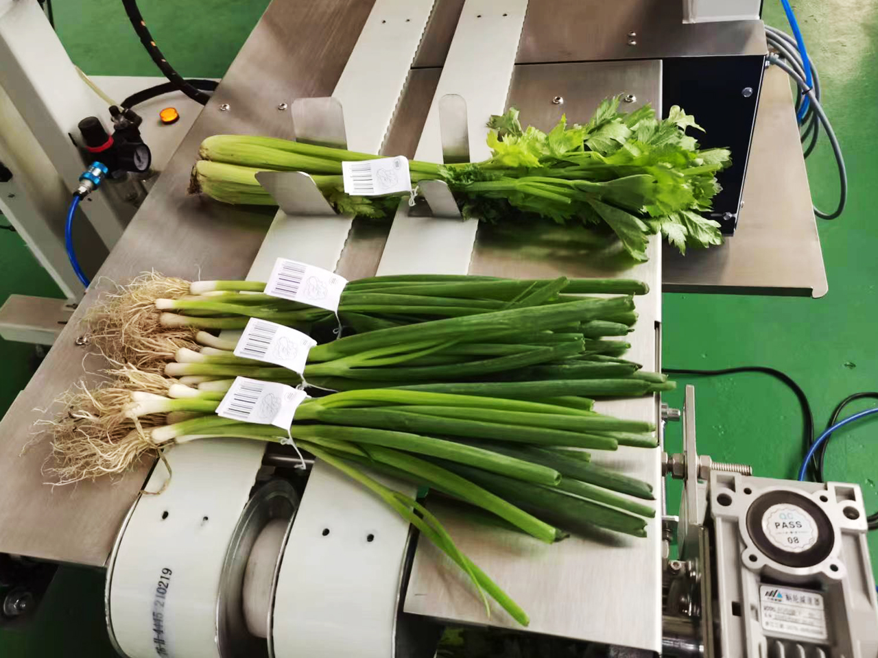gebundelde lente ui met label