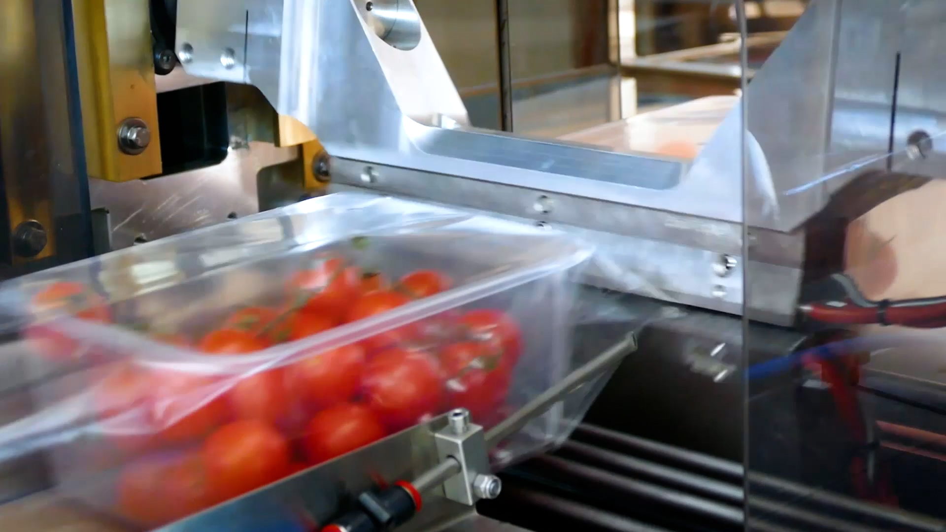 Modular flowpacking machine at good price