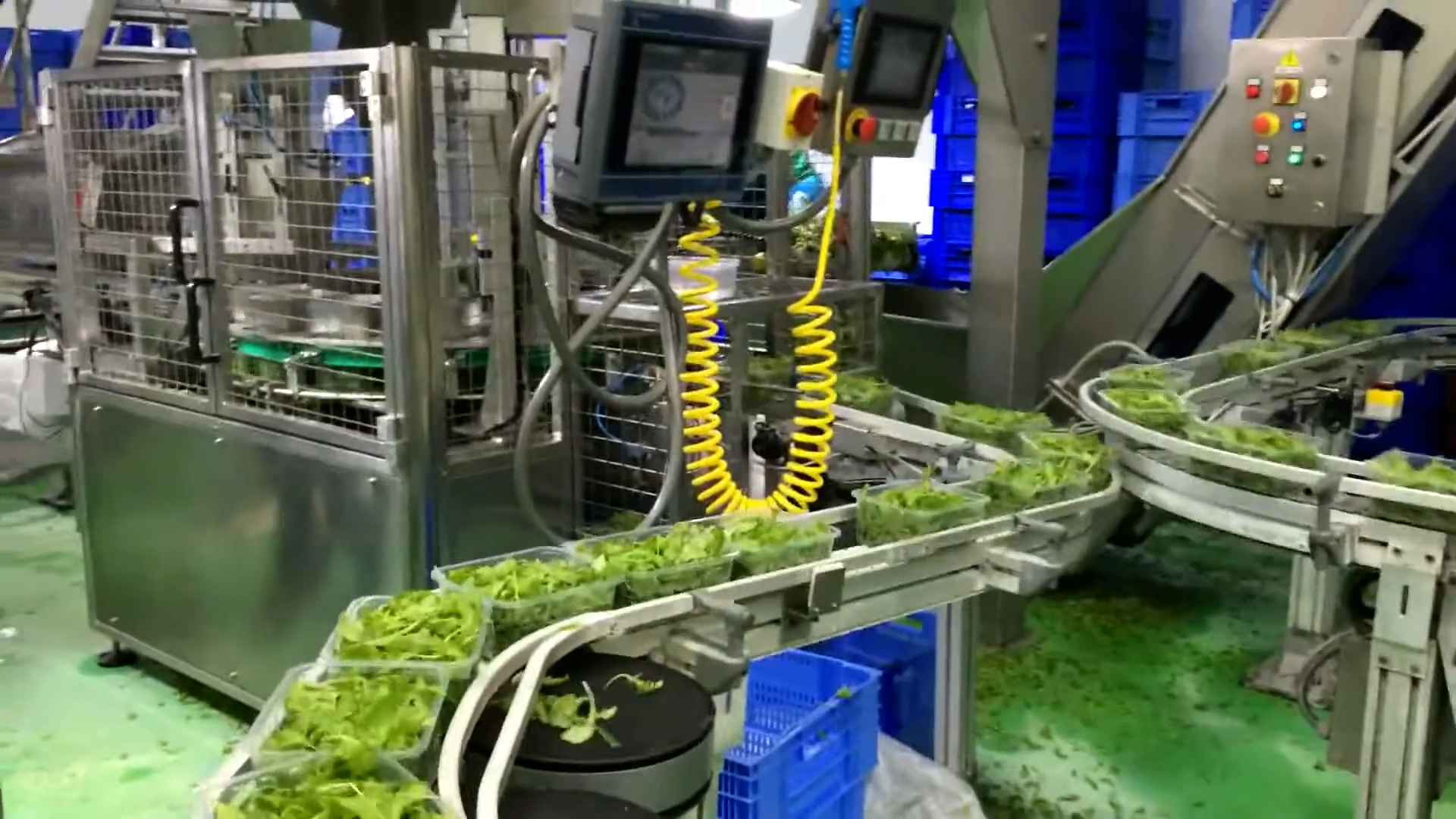 filling carousel of trays and containers
