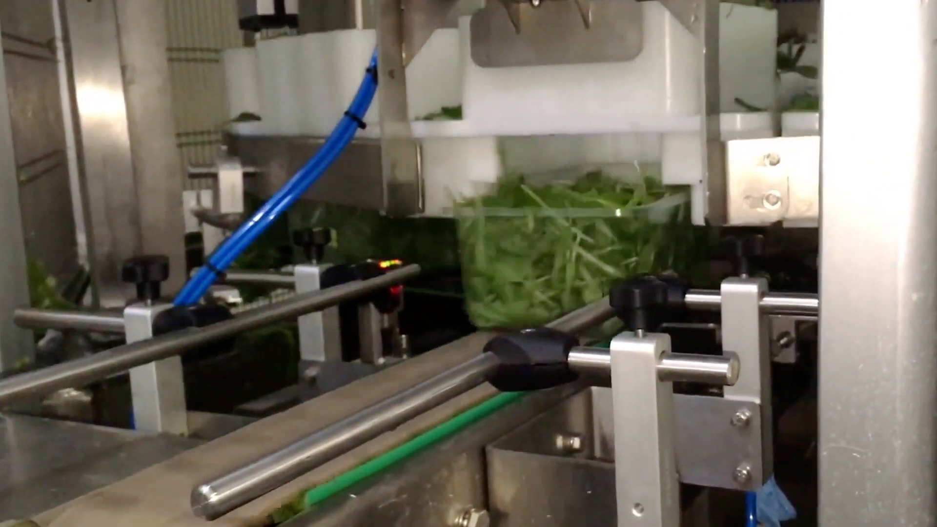 High speed filling caraousel of containers with fresh salades, fruit, vegetables, nuts
