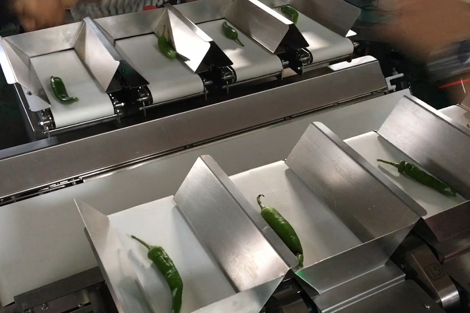 Small combination weigh systems