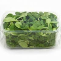 Automatic Carousel for Tray filling delicate produce