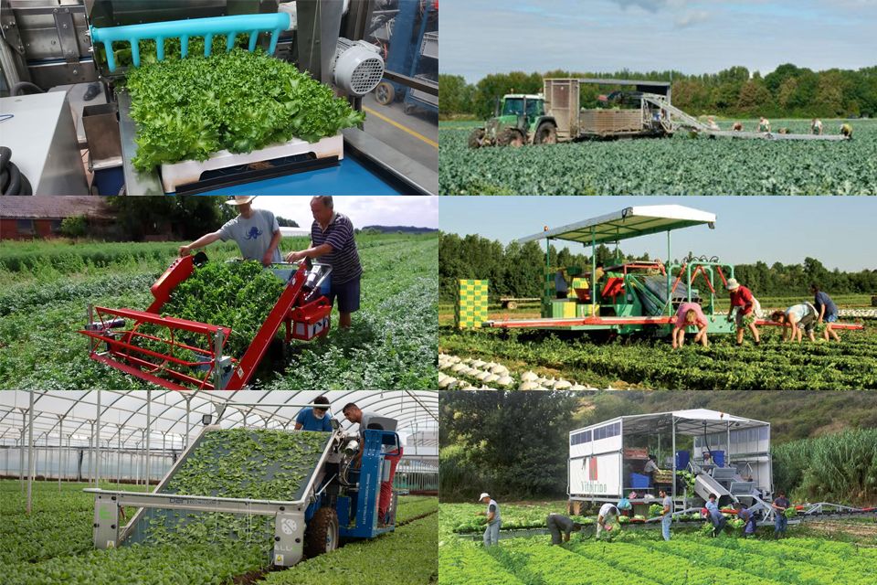 Complete harvesters
