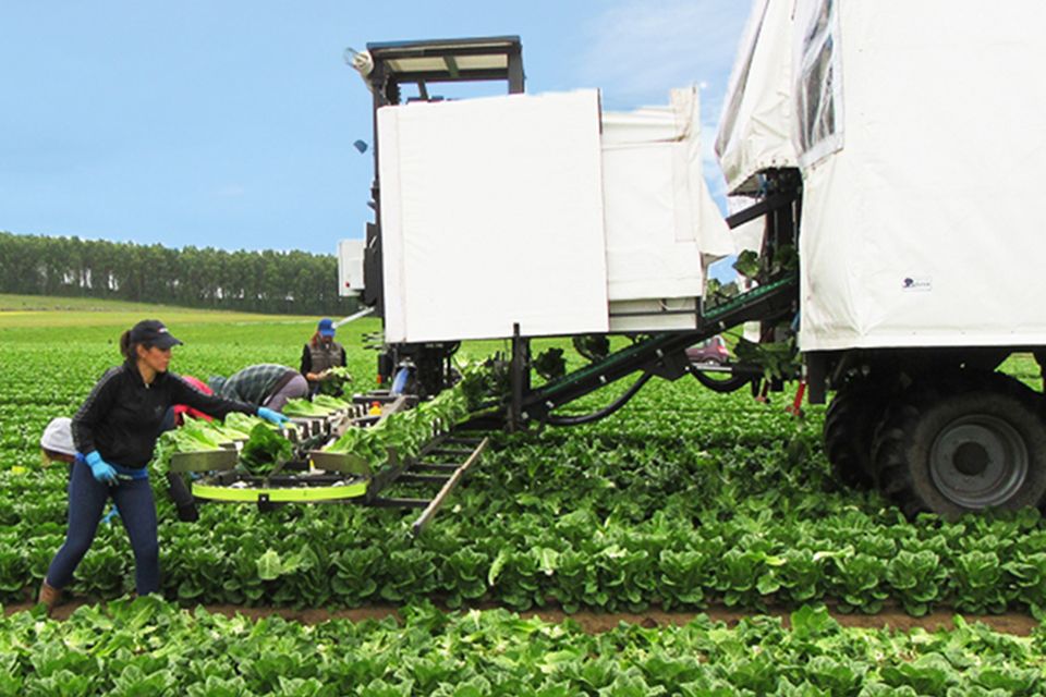 Complete harvesting trucks